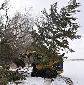 HedgeHog pulling large juniper